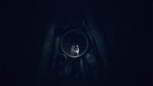 REANIMAL Standard - PC Steam [Online Game Code] — view 12