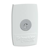 Maneta G IP55 Schneider Electric 60mm robustez industrial con llaves N.405
