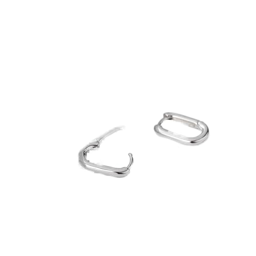 Lulumaic Jewelry Women earrings�AEarrings Women's Big Sircl Trend�֒��C�����i���׃t�@�b�V�����X�}�[�g�W���G���[�v���[���g�v���[���g�A�ȁA�o���ADaug