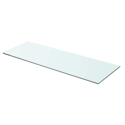 vidaXL Panel de Estante de Vidrio Templado Modelo Claro 70x25 cm Estantería