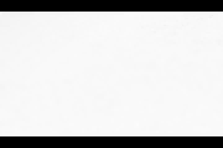 Signoraware Quick Chopper Multipurpose Manual Vegetable, Dry Fruit and Onion Handy Chopper and Quick Cutter Machine for Kitchen with 3 Stainless Steel Blade (500ml, Cocoa Grey)