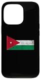 Jordan Flag Graphic Store