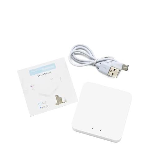 Module de disjoncteur 10A Controller-T-W-H connecté avec commande vocale