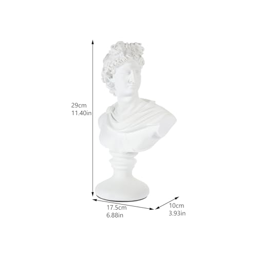 Buste d'Apollon Healvian : statue blanche pour décorer votre bibliothèque - 3