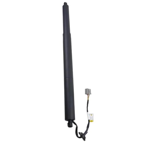 Vérins hayon électriques Ford Explorer U502 supports levage BB5Z78406A10B