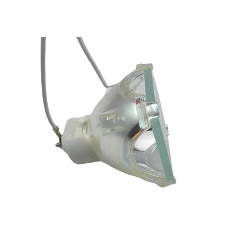 Lámpara Infocus LP790 soluciona imágenes apagadas con módulo de alto brillo