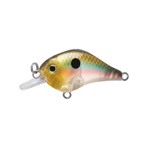 Bill Lewis Gnat Micro-Crankbait