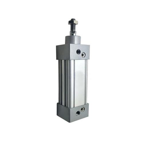 Vérin pneumatique CP95SDB axial à double effet précis