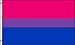 NEOPlex 3' x 5' Bi Pride Flag
