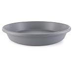 Plant Saucers Round