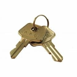 APG VPK-8K-542 Spare Part for Drawers Key, 542 Coded Two Key