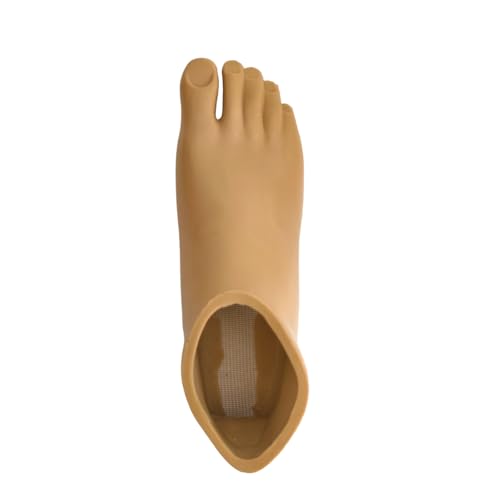 �`���̍b�� Ottobock 1C60 1C63 1C64�V���[�Y�J�[�{���t�@�C�o�[�`���ƌ݊���������A�T�C�Y22?28cm�A���E�� (26,Right foot Fits 1C63)