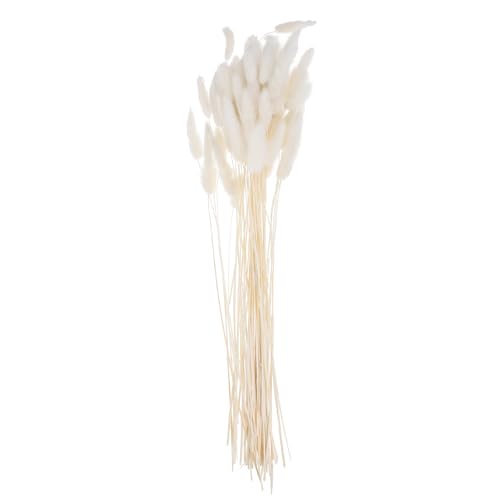 Queue de lapin fleurs séchées déco sans entretien bouquet naturel 60 pièces pour maison et fête