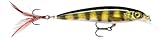 Rapala, Leurre de Pêche X-Rap, Taille : 10 cm/13 g, Leurre Eau Douce et Mer Flottant, Pro...