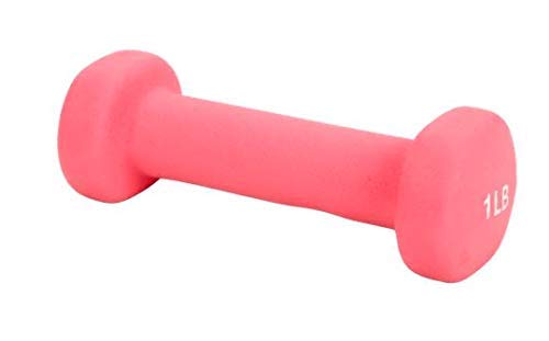 Neoprene 1 lb - 2pcs Cast Iron Dumbbell for Women, Dumbbells in Pair