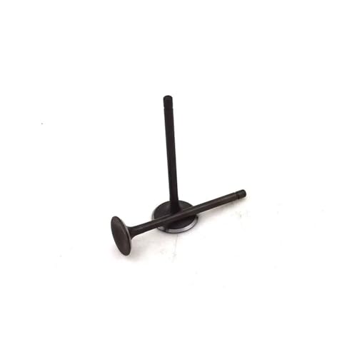 Joint de soupape pour moto TW200 idéal pour rénover votre trail