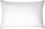 Touch of Down Pillow Queen Found in Holiday Inn Express by IHG Hotels Set of 2, White