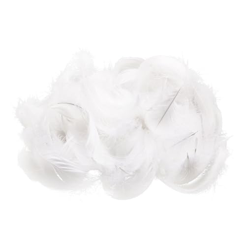 EUPSIIU 200 Pièces Plumes Blanches, Plume Décoration, Plumes Artisanales, Plume d'oie Naturelle, pour DIY Dreamcatcher, Vêtements, Noël, Anniversaire,...
