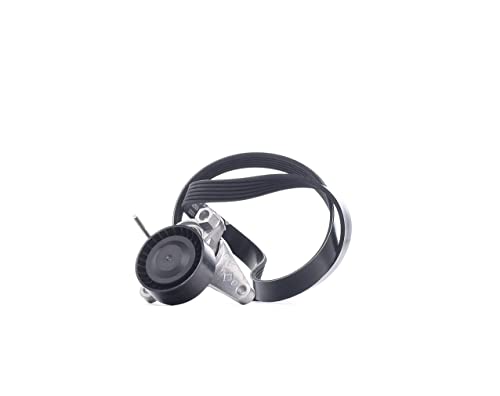 INA Juego de correas trapeciales poli V 529 0167 10 1025mm
