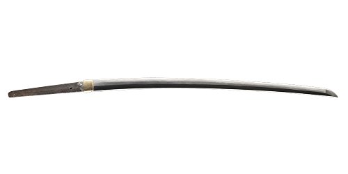 Handmade Sword - Fully Functional Samurai Wakizashi Sword, 1045 Carbon Steel, Hand Forged Heat Tempered, Full Tang, Sharp, Dragon Tsuba, Back Scabbard #TOP7