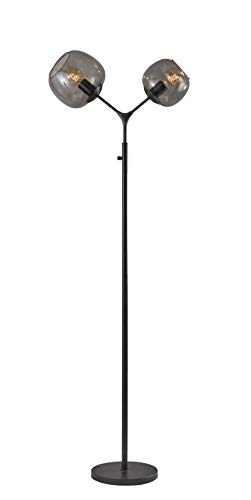 Adesso Home 3439-01 Transitional Two Light Floor Lamp from Ashton Collection Finish, 11.00 inches, Matte Black