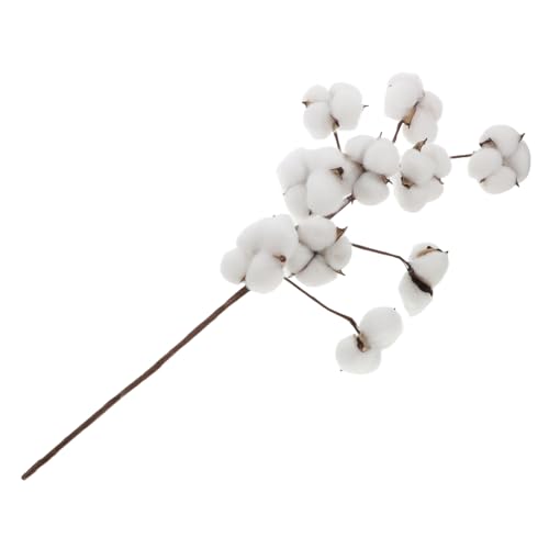 10 tallos de algodón seco para decoración rústica miniatura 1
