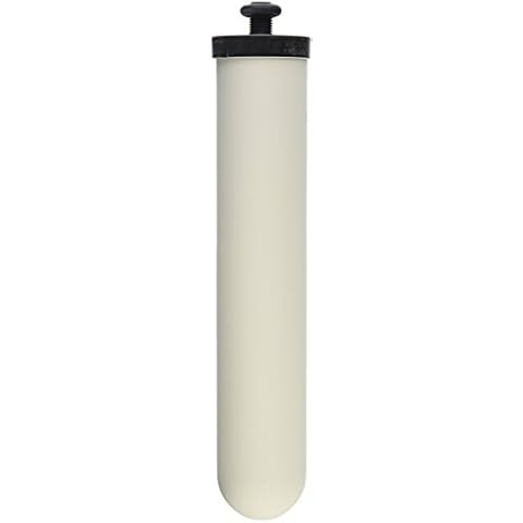 Doulton Ultracarb 10" Water Filter Candle, 4-pack (W9123053) Cover