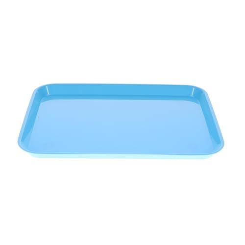 House Brand Dentistry 108147 HSB Set-Up Tray Flat #B Ritter Baby Blue Plastic 13-3/8