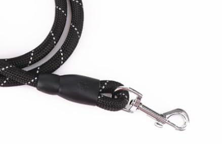 Home Dog Leads