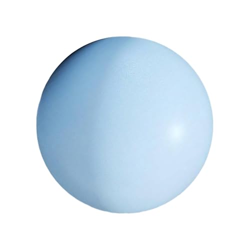 XUZHID Pilates Fitness Ball?25cm Soft Pilates Ball 10Inch Exercise Ball Gym Ball for Pilates, Cores Training, Physical Therapies and Balances
