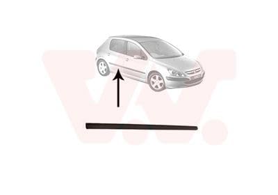 VAN WEZEL 4040406 Baguette et bande protectrice porte arrière droite noir Compatible avec PEUGEOT 307 3/5 portes 3A/C 307 SW 3H 307 Break 3E 307 SW Van/Break 3E, 3H