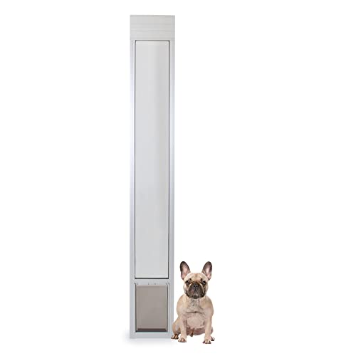Best Temporary Dog Door For Renters