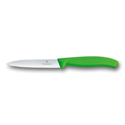 VICTORINOX(rNgmbNX) p[OiCt ؂ꖡ悢yeBiCt 10cm n O[ s؂ꖡŐȃJbg\ ʕ 6.7706.4-X1