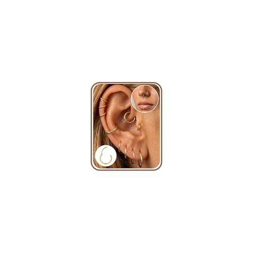 Minnario 10Pcs Piercing Oreille Creoles Acier Inoxydable Boucles d'Oreilles Femme Or/Argent Piercing Nez Anneaux Petites Piercings Septum Piercings Tragus Helix Conch Cartilage 6/8/10/12/14mm