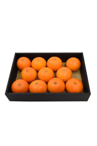 g܂ǂ p Giȏ y 1..8`2kg z  ō ݂ VH Z Â o W[V[  ʏ`  v[g ɂ