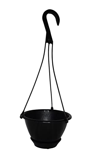 Dogwood Farm Market 6 Mini Black Plastic Hanging Basket