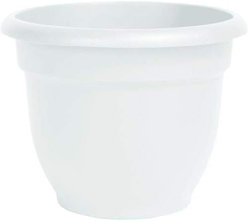 Bloem 010271 Ap1010 Ariana Self Watering Planter, 10" White