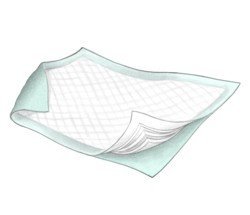 Nobles Disposable Chux Underpad/Bed Pads Blue for Incontinence Leak Proof Size 23x24 Case of 200