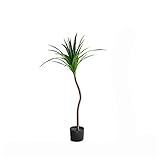 Encantadora planta falsa verde trae la exuberante belleza del aire libre a su hogar sin la molestia y la preocupación del mantenimiento.