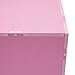 Mail Sorter Organizer, Literature Organizer, Student Mailbox Slot with Removable Shelves, for Desktop Bill Paper, for Classroom Office Home School (12 Compartments, Pink)