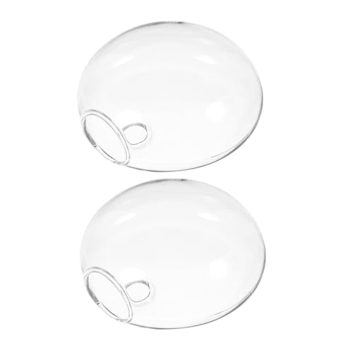Macetero de pared florero de pared transparente juego de hidroponía 2