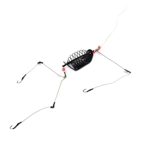 PASNMKvn 20-100g Fishing Baits Cage Steel Wire 3 Line Hook Spring Fishing Feeder with Holder Baits Cage Carp Fishing Accessories