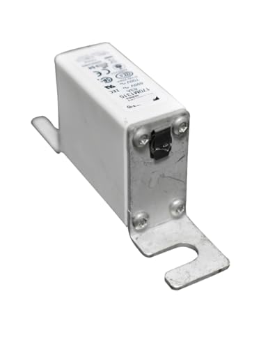 Fusible 170M1315 à action rapide pour la protection des circuits
