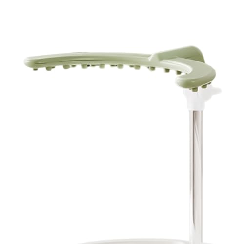 Baño de loro con agua corriente para cacatúa y loro gris doméstico 8