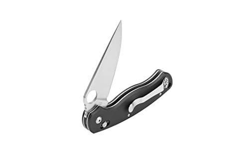 Ganzo G729-BK Folding Pocket Knife, 440C Stainless Steel Blade, Ergonomic G10 Non-Slip Handle with Clip, Hunting, Fishing, Camping, Folder, Axis Lock, Outdoor EDC Knife (Black)