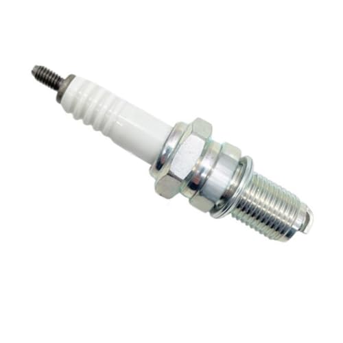 Bougie d'allumage moto PR250 PR300 et moteurs ZS172FMM-5 ZS175FMN
