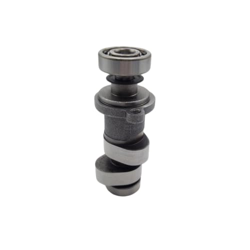 Árbol de levas CBS300 ZS174MN-3 para renovar tu moto de enduro Avantis en rutas de montaña