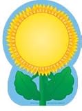 3 inch x 3 inch notepad with 35 sheets - this notepad comes with 35 sheets to a notepad, Sunflower design throughout notepad on all sheets Wonderful Teaching Tool - Good for making word cards, shaped books and game parts; use for vocabulary books, wr...