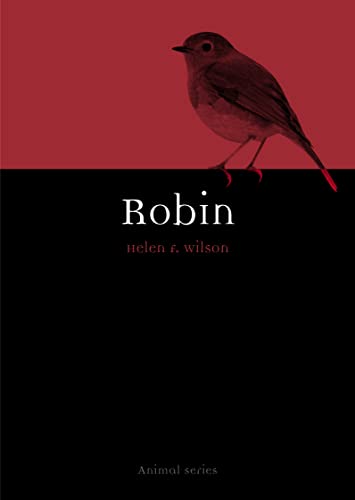 Robin view 2