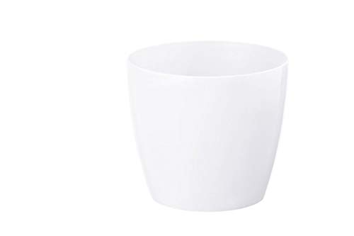 Grand pot de fleurs Magnolia blanc 30 cm pour salon lumineux